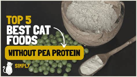 is pea protein bad for cats