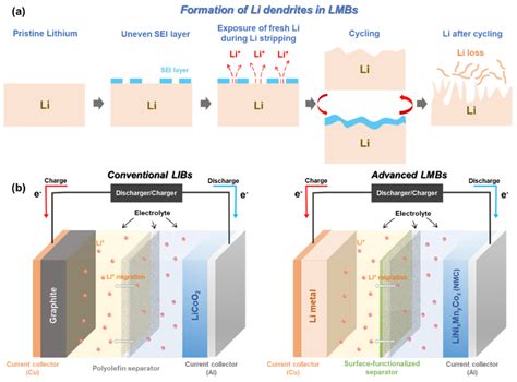  リチウムイオン電池用セパレータ！次世代エネルギー技術を支える高機能材料とは？