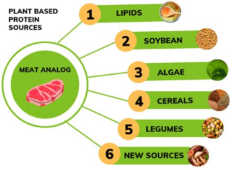 Pea Protein: 高タンパク質で持続可能な代替食品の未来を築くか？！