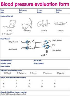 What Animal Has the Highest Blood Pressure?