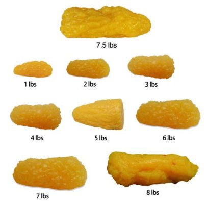 What Does 1 lb of Fat Look Like?