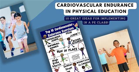 What is Cardiovascular Endurance in Physical Education: A Dive into the Heart of Fitness and Beyond